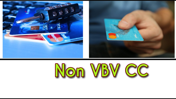 Non VBV/MSC BINs List 2024